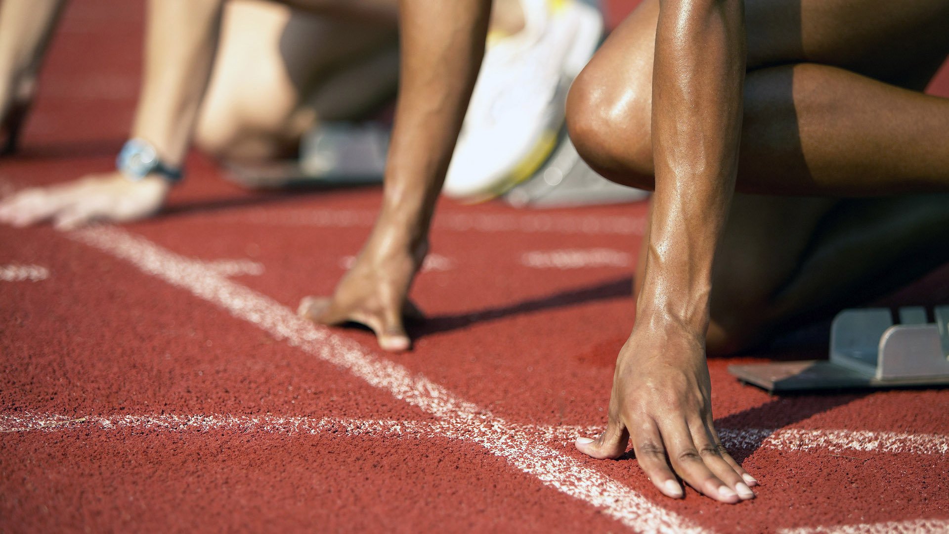 中美澳德蝶泳节奏变化趋势同步对比,蝶泳奥运会比赛视频